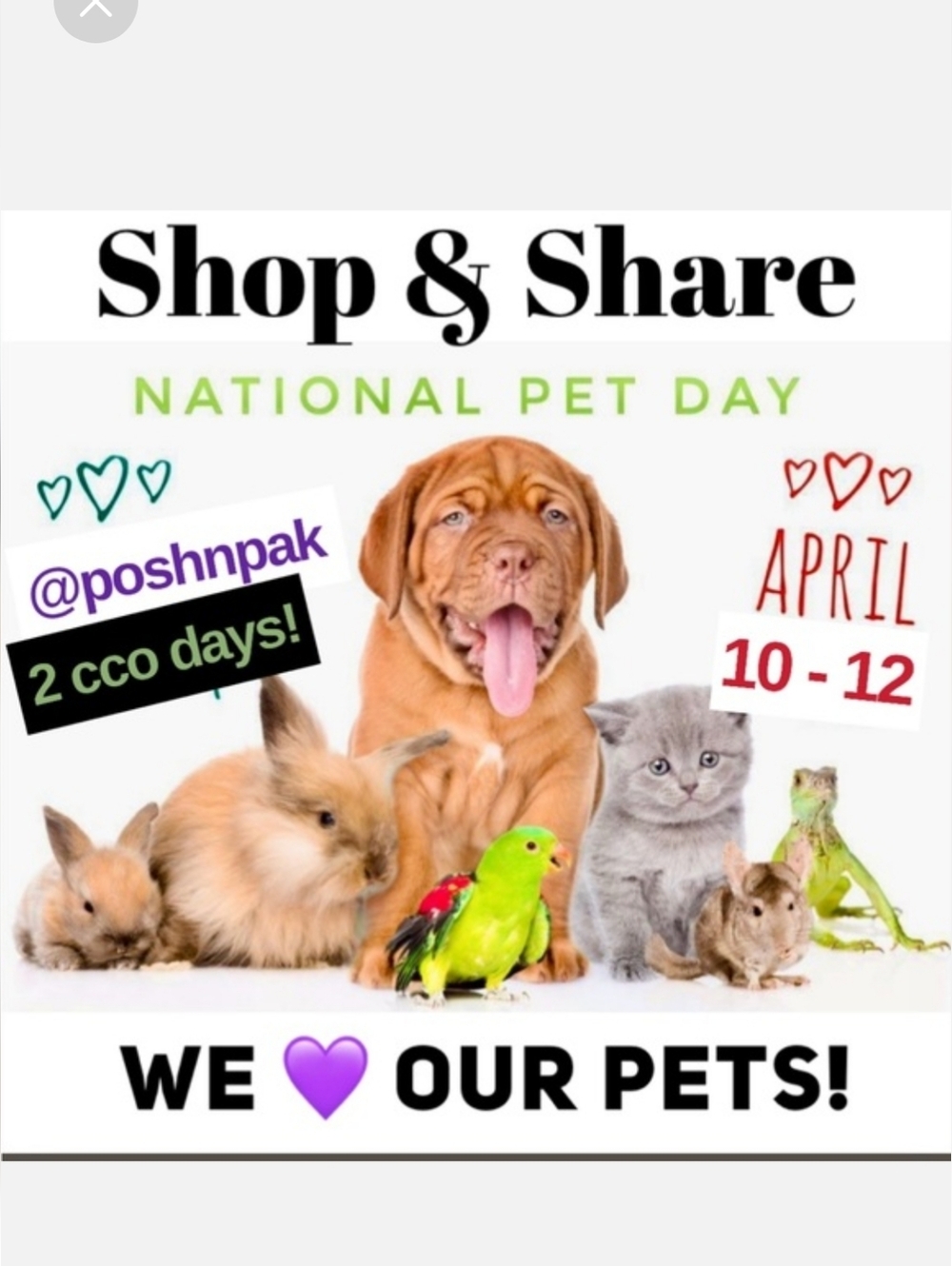 National Pet Day Shop & Share
